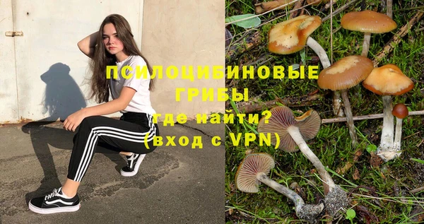 сатива Балахна
