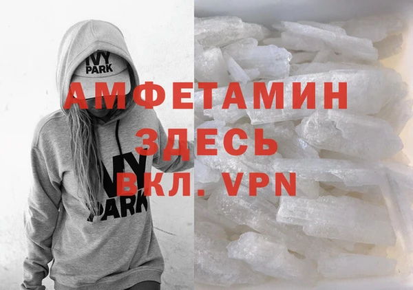 сатива Балахна