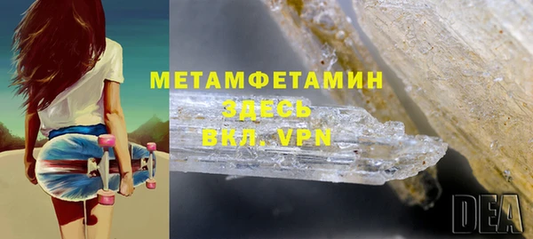 сатива Балахна